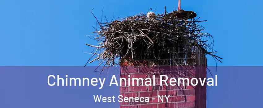  Chimney Animal Removal West Seneca - NY