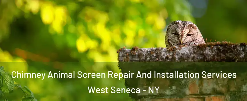  Chimney Animal Screen Repair And Installation Services West Seneca - NY
