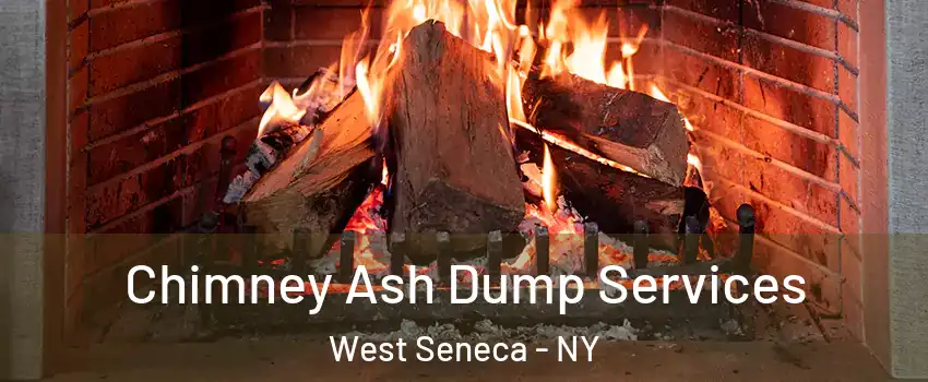  Chimney Ash Dump Services West Seneca - NY