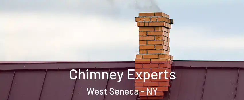  Chimney Experts West Seneca - NY