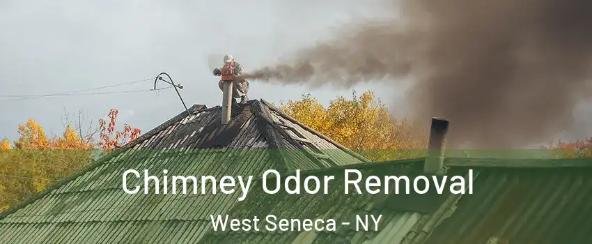  Chimney Odor Removal West Seneca - NY