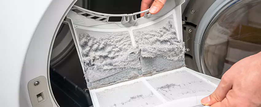 Best Dryer Lint Removal Company in West Seneca, New York
