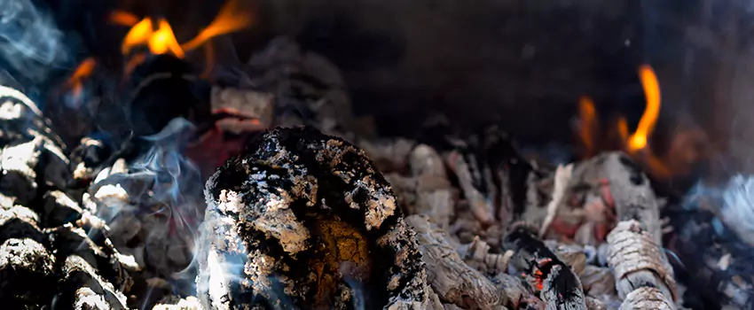 Creosote Removal Experts in West Seneca, NY